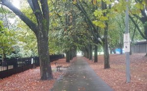 Counselling in Vancouver