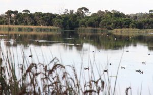 Joondalup Community Mental Health