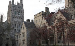 Yale Mental Health and Counseling