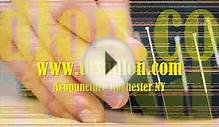 Chirpractic Health & Services - Acupuncture Rochester NY